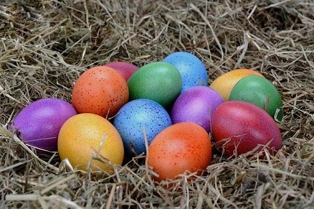 How Many Different Color Chicken Eggs Are There