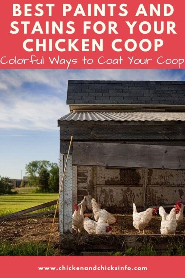Best Paint or Stain for Chicken Coop Explained