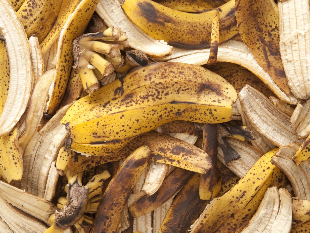 Bunch of banana peels.