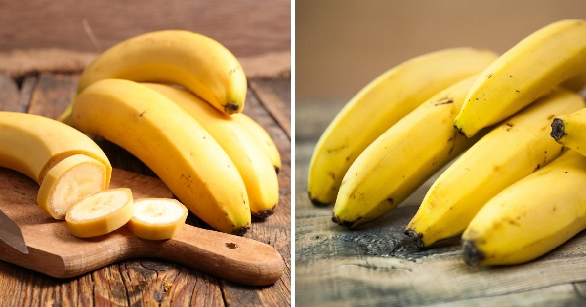 Can Chickens Eat Bananas? Chicken & Chicks Info