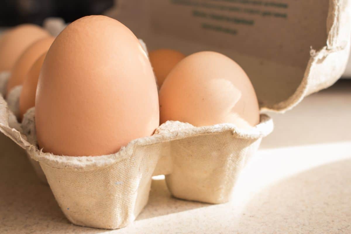 Cardboard box full of different sizes of chicken eggs.