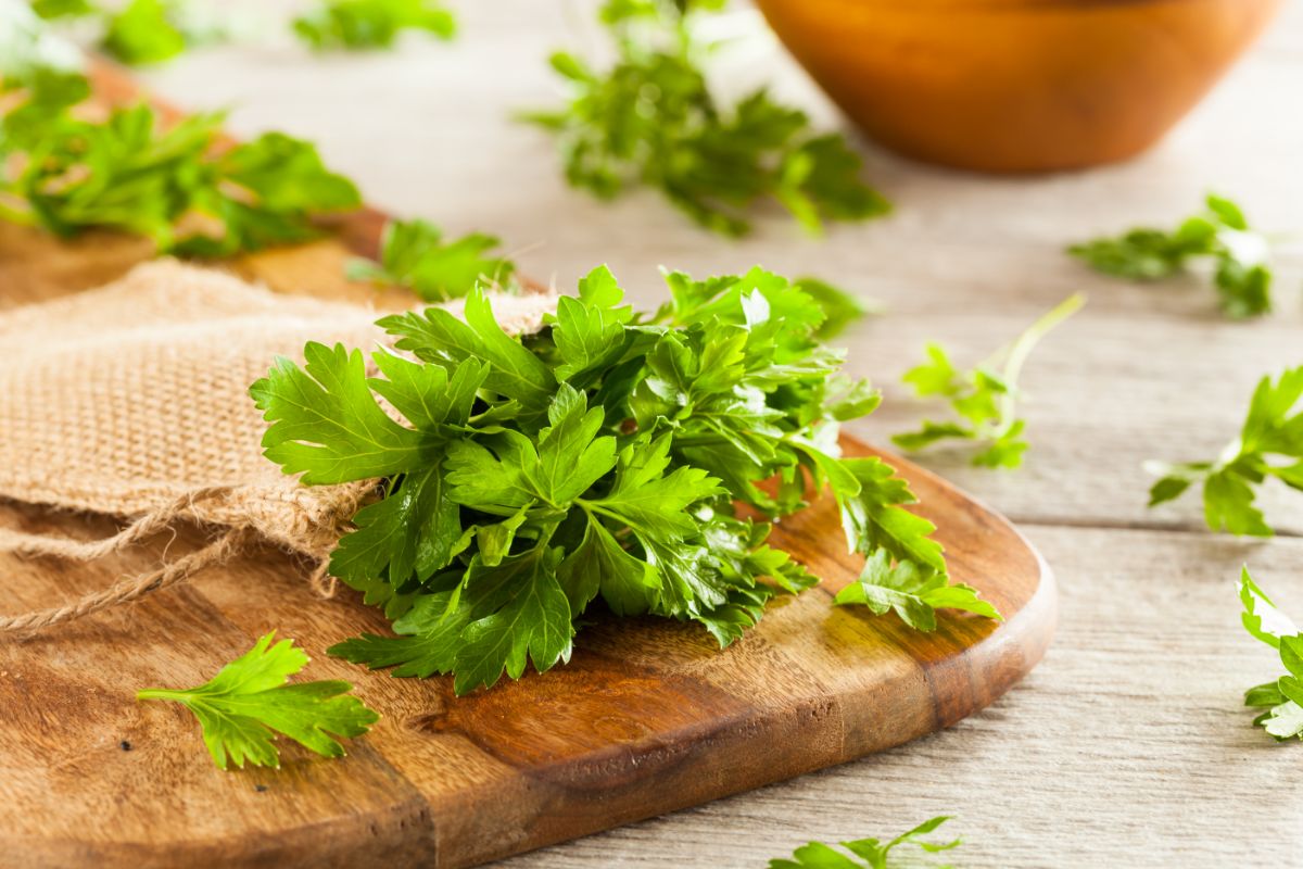 Fresh parsley on a wooden chopping board.