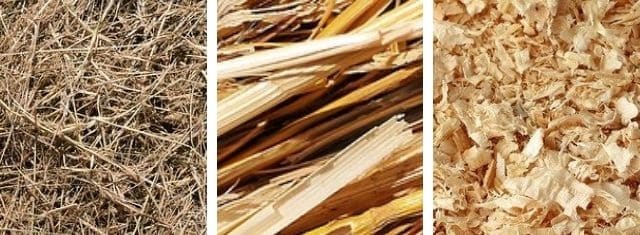 Common Types of Bedding for Chickens