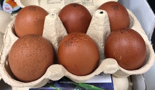 Facts About Marans Eggs