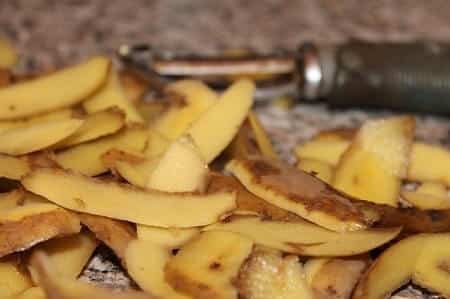 Is It Ok to Feed Your Chickens Potato Peels