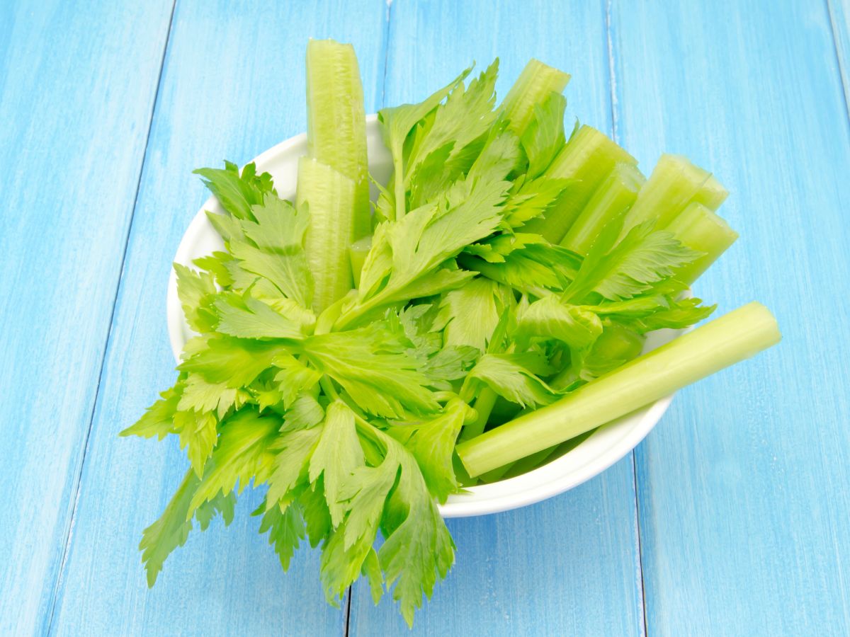 Bowl of celery on a blue wooden table.