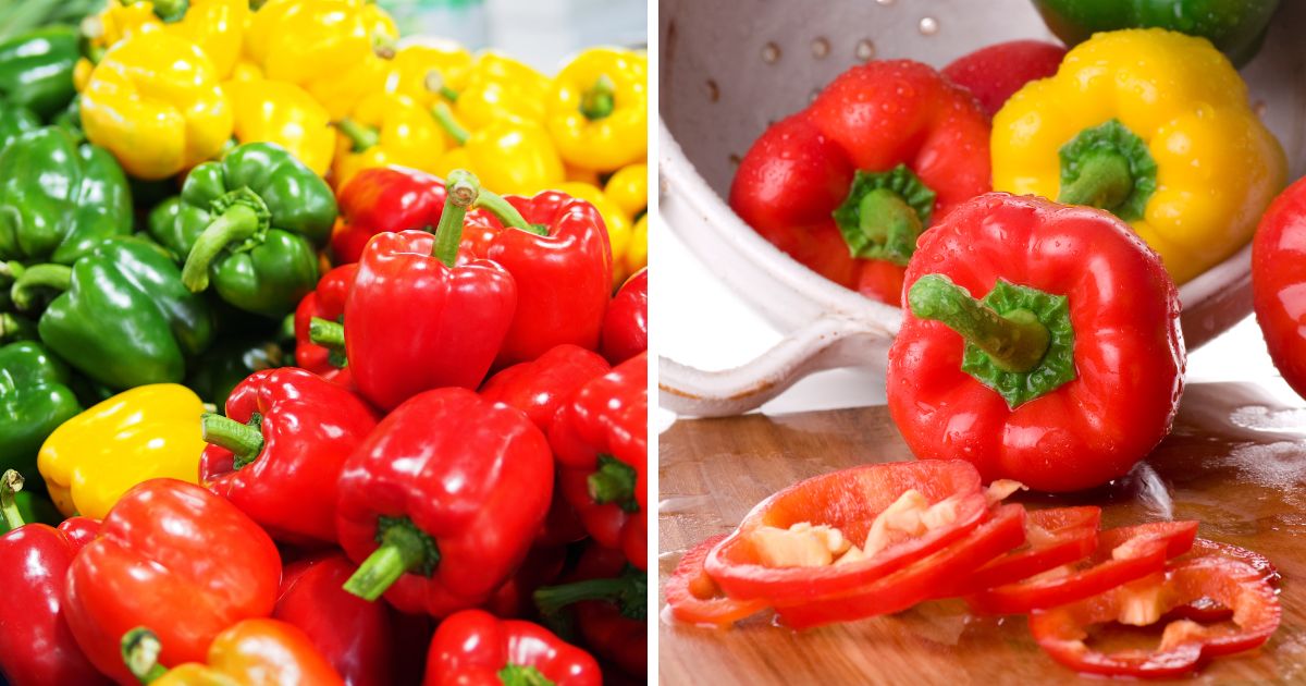 Can Chickens Eat Bell Peppers? (Risks and Benefits) Chicken & Chicks Info