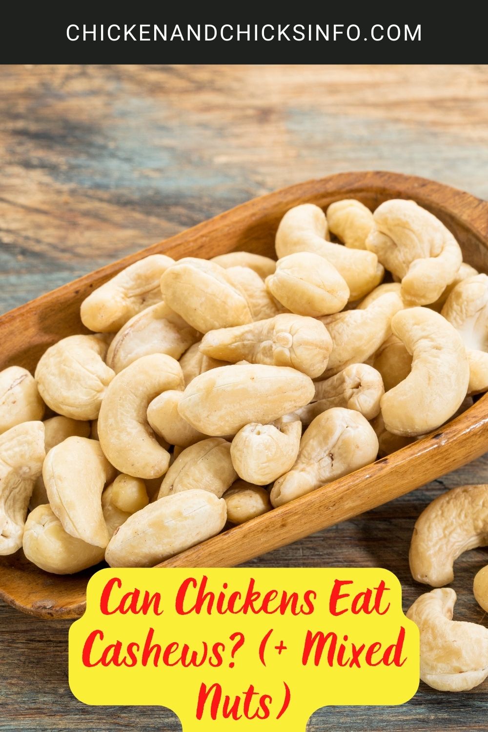 Can Chickens Eat Cashews (+ Mixed Nuts) poster.
