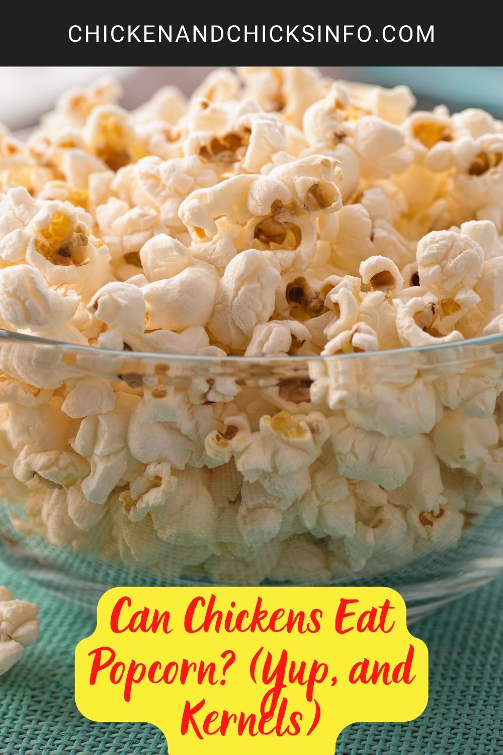 Can Chickens Eat Popcorn? (Yup, and Kernels) poster.
