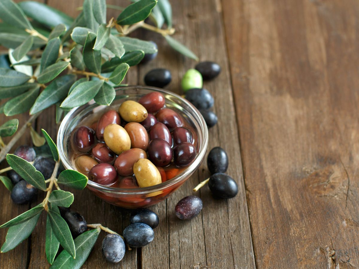 Bowl with olives on a table with scattered olives and an olive branch.