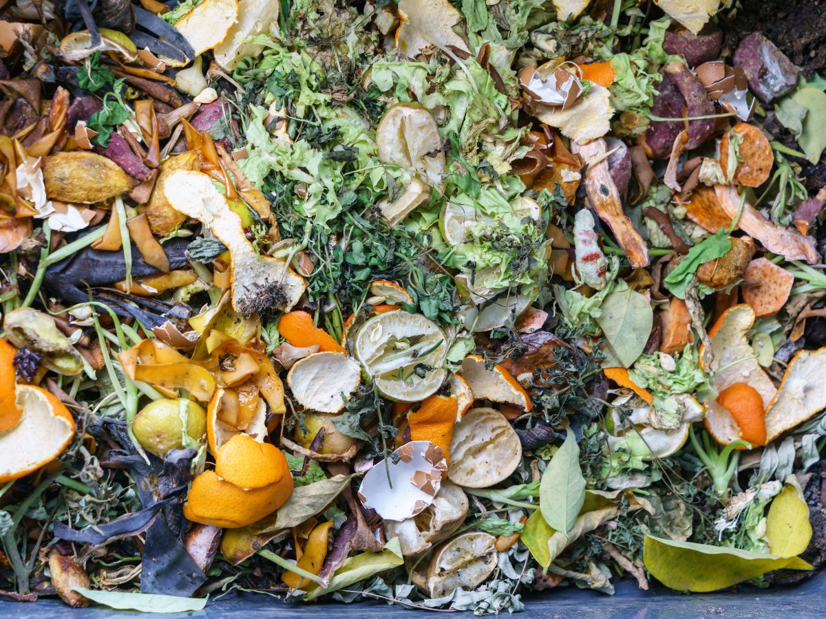 Bunch of fruit and vegetable scraps.