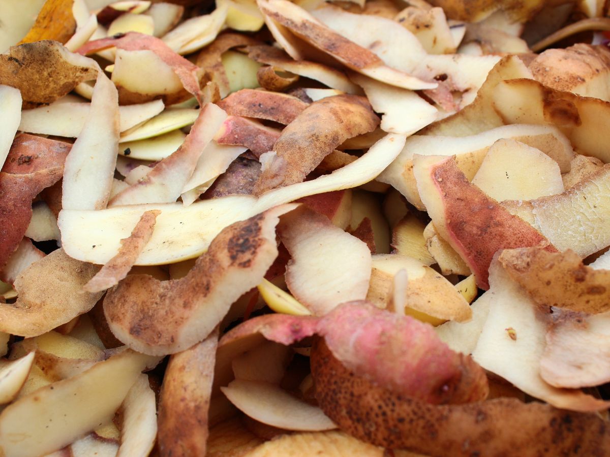 Pile of potato peels.
