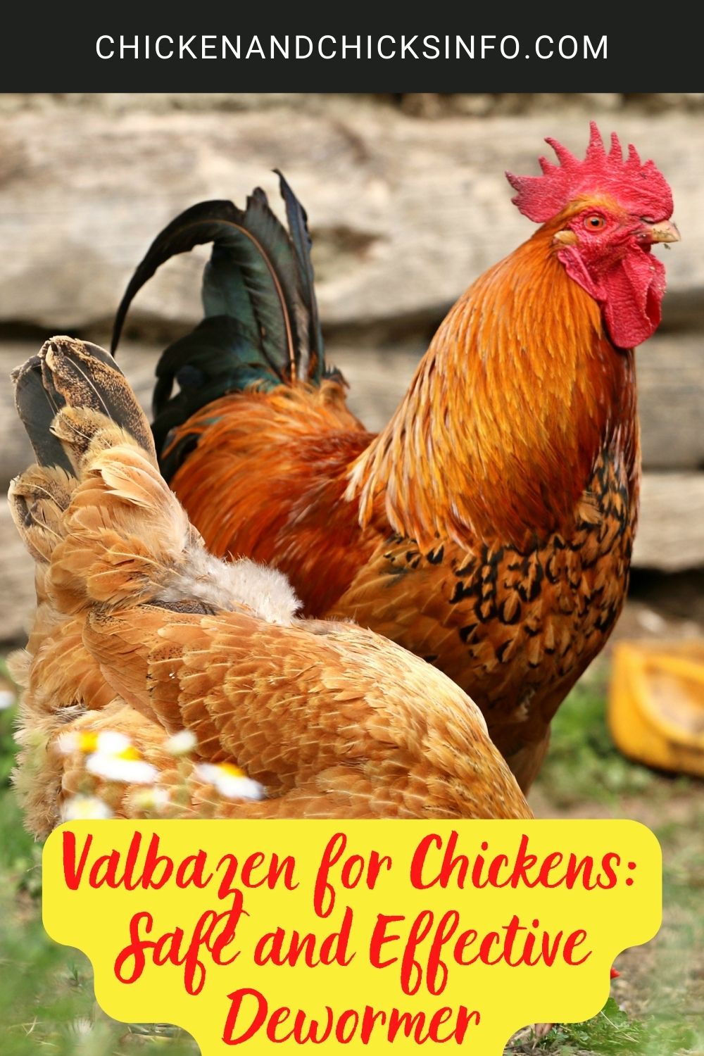 Valbazen for Chickens: Safe and Effective Dewormer poster.
