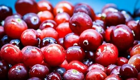 Are Cranberries Healthy for Chickens