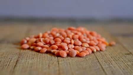 Are Lentils Healthy for Chickens