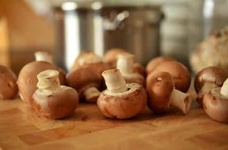 cum să hrănești ciupercile cu puii tăi