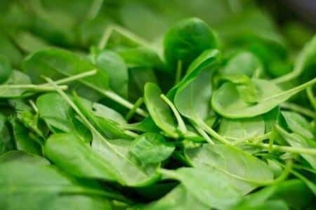 How to Feed Spinach to Chickens