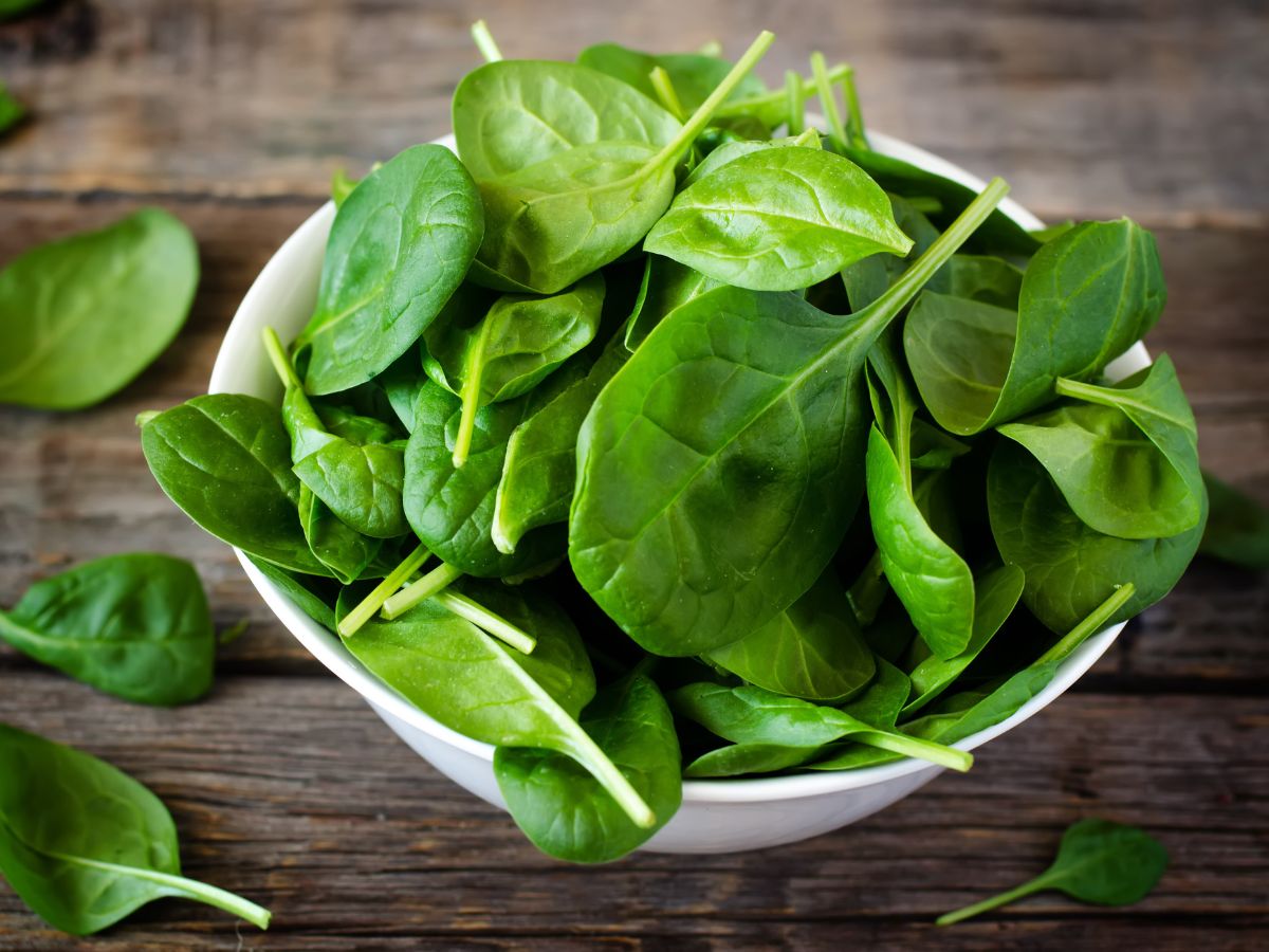 A white bowl of freshly picked organic spinach on a table.