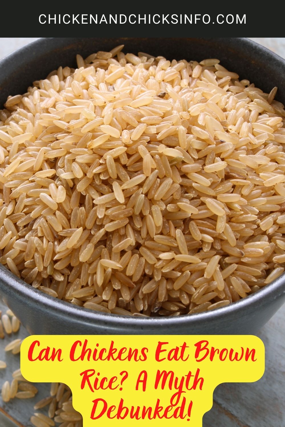 Can Chickens Eat Brown Rice? A Myth Debunked! poster.
