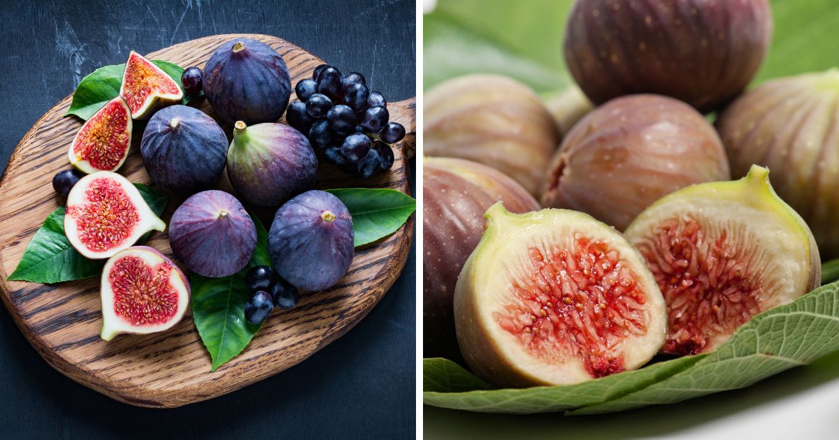 Can Chickens Eat Figs? (Yes, Video Included) Chicken & Chicks Info