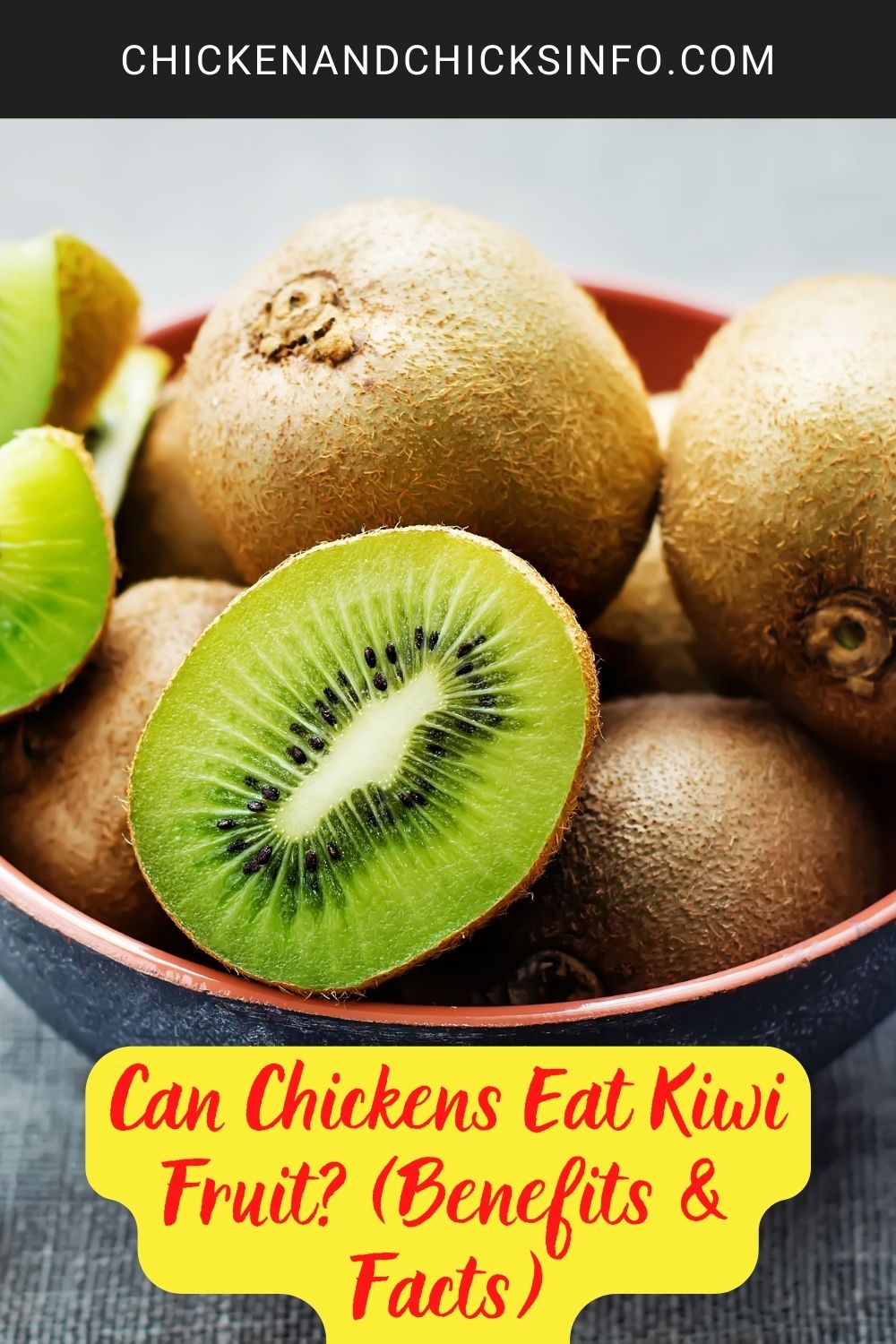 Can Chickens Eat Kiwi Fruit? (Benefits & Facts) poster.
