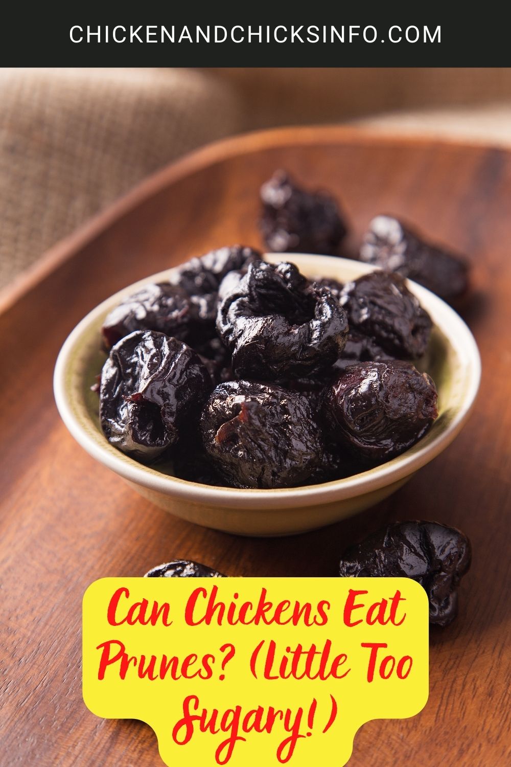 Can Chickens Eat Prunes? (Little Too Sugary!) poster.
