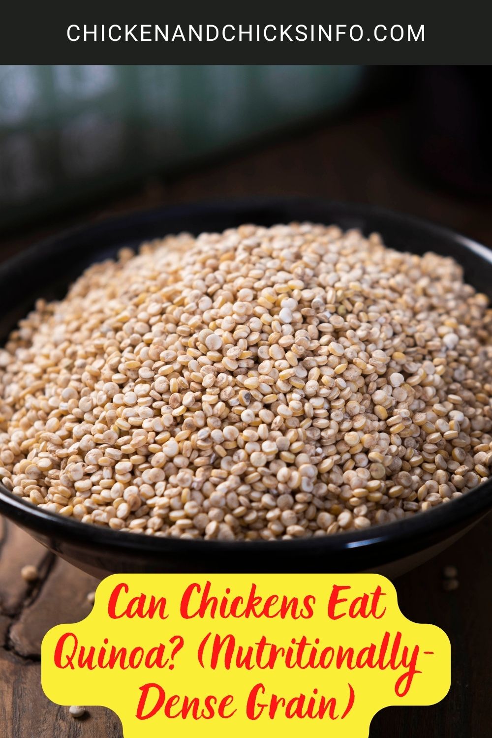 Can Chickens Eat Quinoa? (Nutritionally-Dense Grain) poster.
