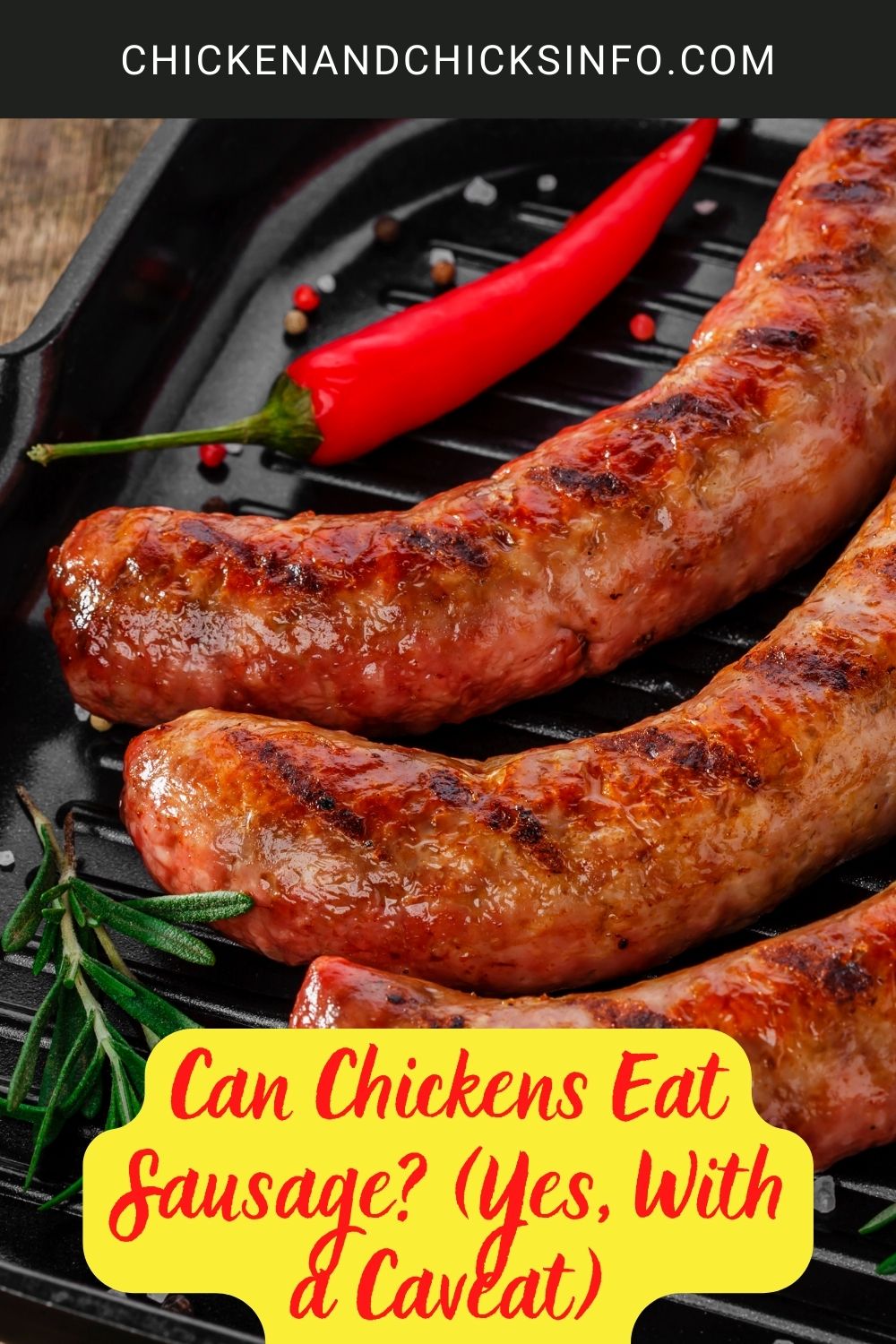Can Chickens Eat Sausage? (Yes, With a Caveat) poster.
