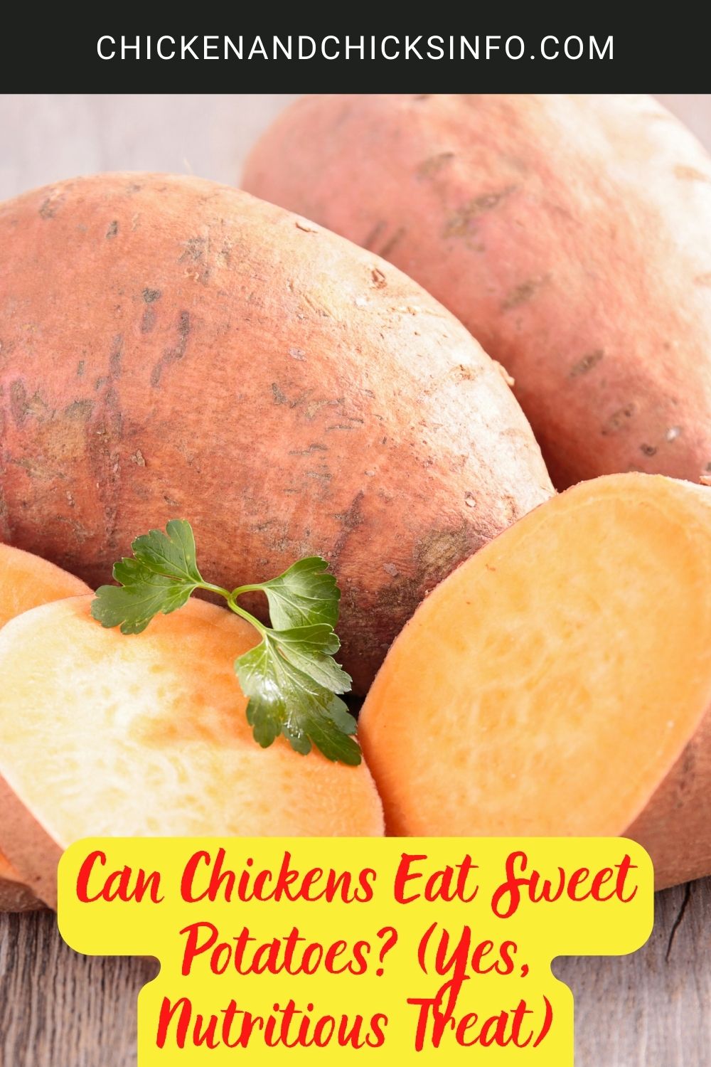 Can Chickens Eat Sweet Potatoes? (Yes, Nutritious Treat) poster.
