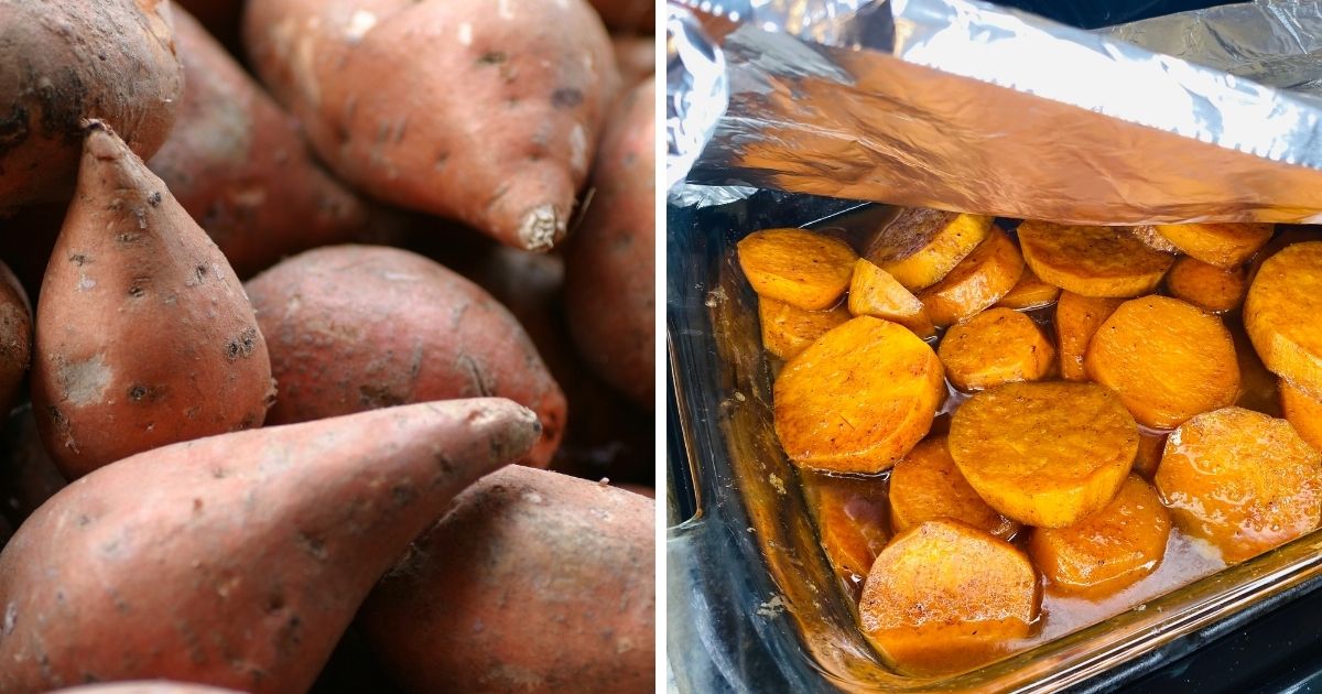 Can Chickens Eat Yams?+ Lists of Good & Bad Foods Chicken & Chicks Info