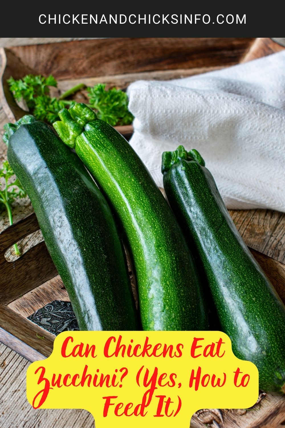 Can Chickens Eat Zucchini? (Yes, How to Feed It) poster.
