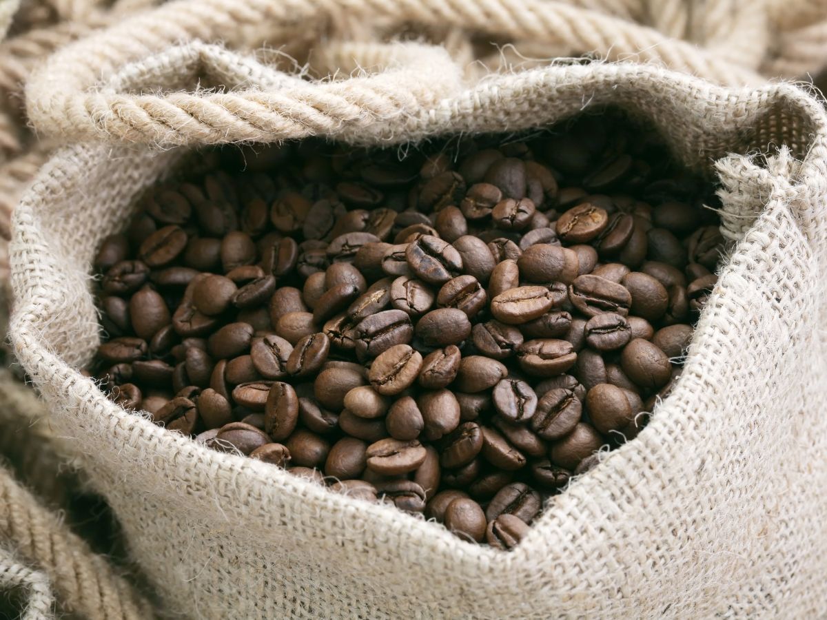 Bag of coffee beans.