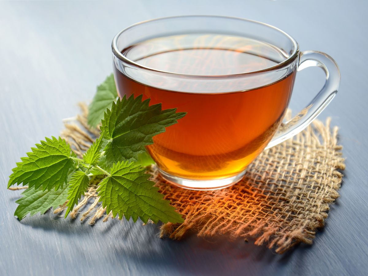 A glass cup of tea on a table with a herb.