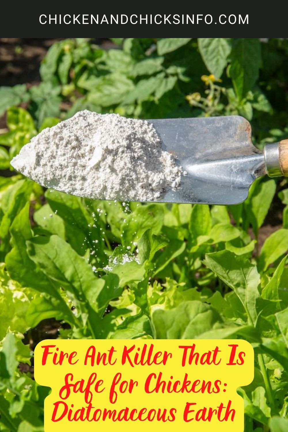 Fire Ant Killer That Is Safe for Chickens: Diatomaceous Earth poster.
