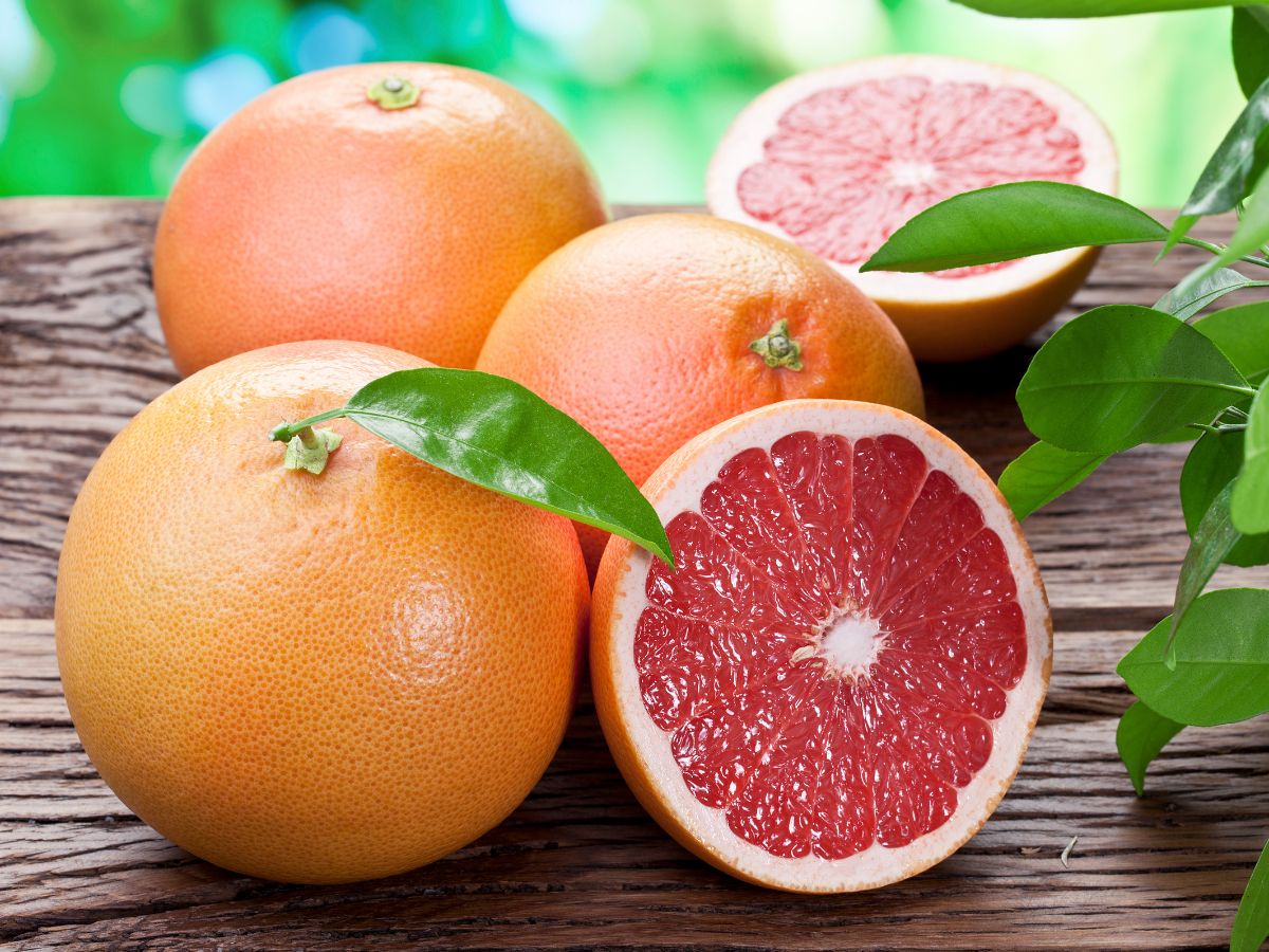 Ripe organic grapefruits on a wooden table.