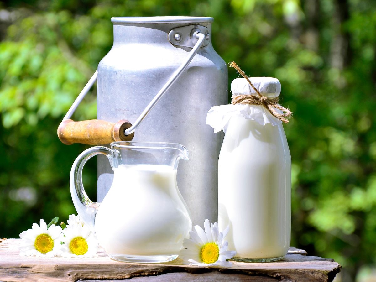 Aluminum container, glass bottle, and glass cup of milk on a wooden board with white flowers.
