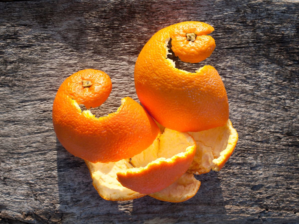 Orange peels on a wooden table.