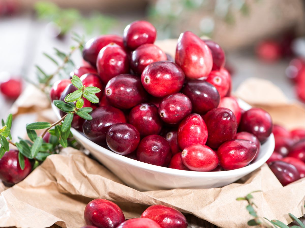 A small white bowl of ripe organic cranberries.