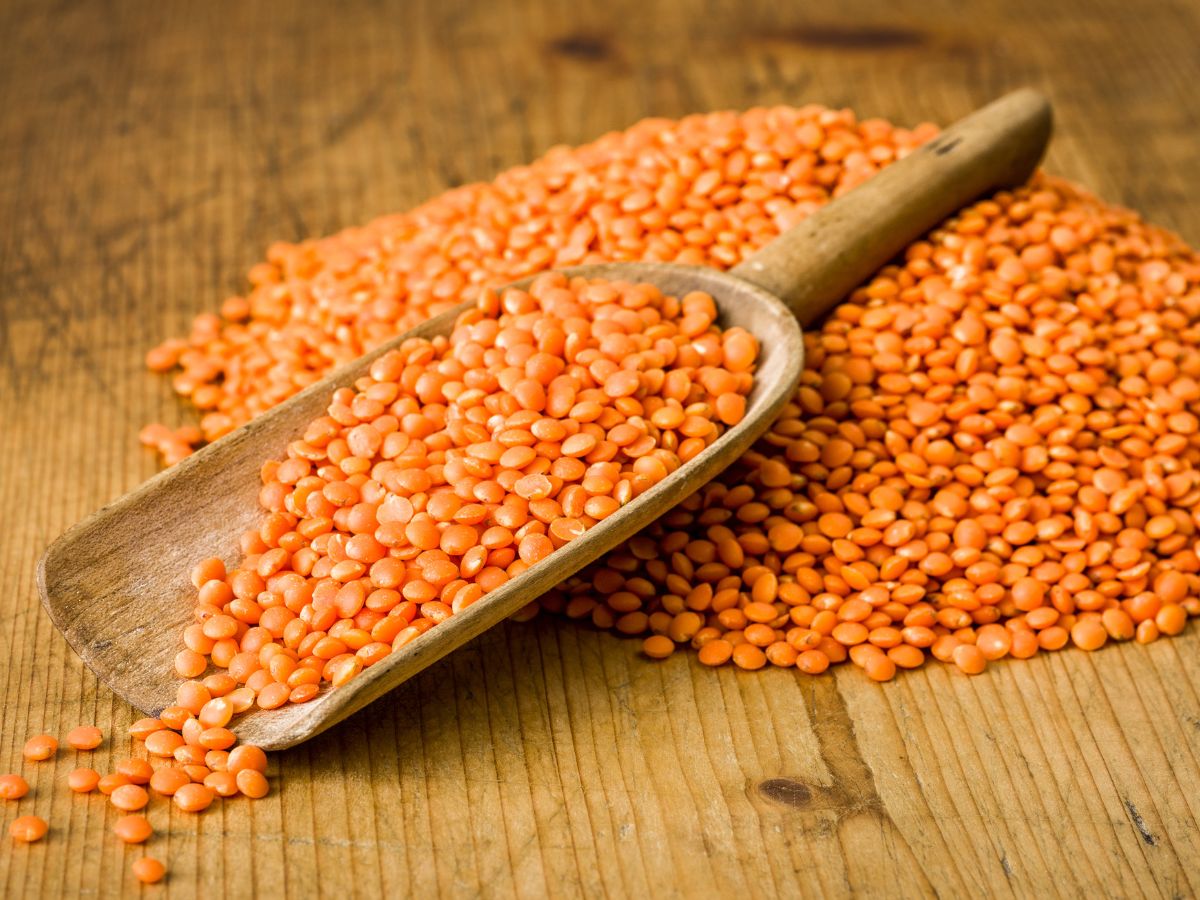 A wooden spatula full of red lentils on a table with a pile of red lentils.