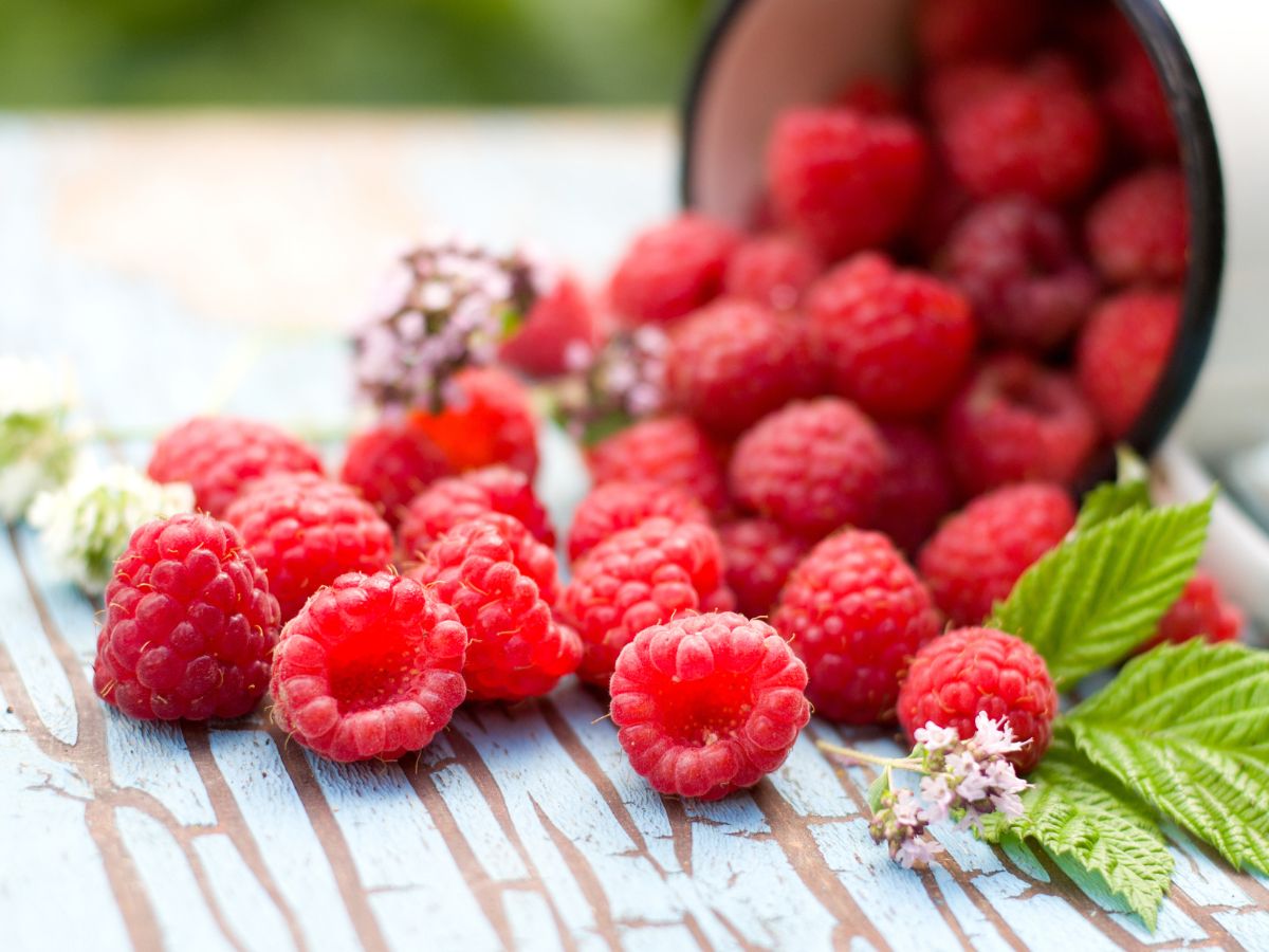 Spilled fresh ripe raspberries on a wooden table.