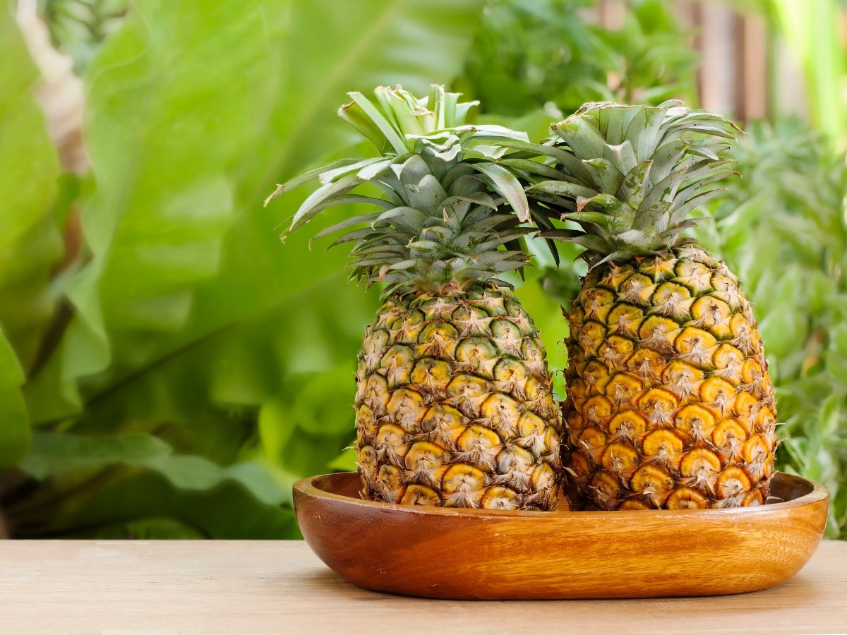Two pineapples in a wooden bowl.