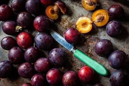 Are Plums Healthy for Chickens
