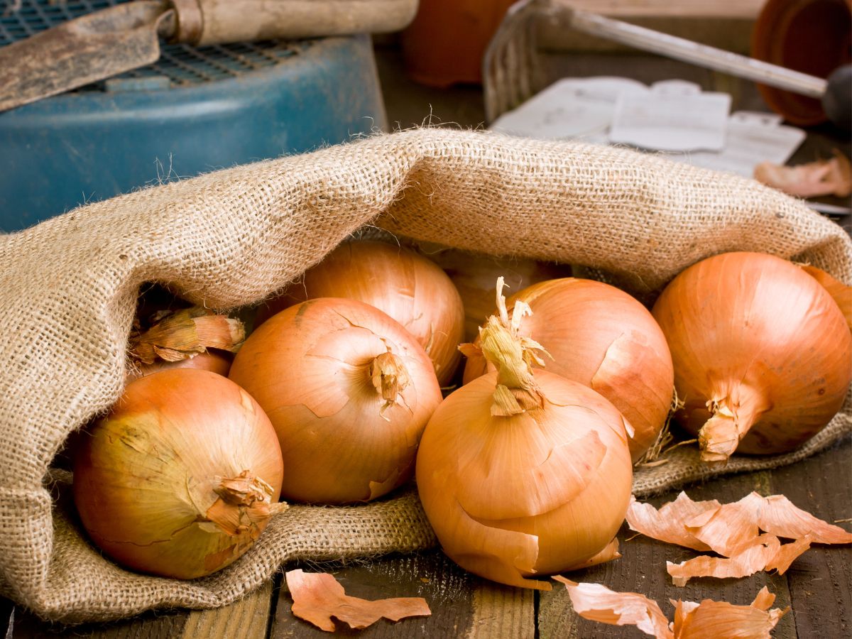 Bag of organic onions on a wooden table.