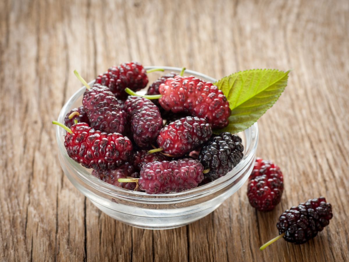 Glass bowl of ripe mulberries on a wooden table.