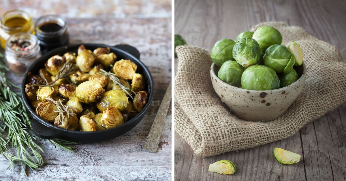 Can Chickens Eat Brussel Sprouts? (Absolutely!) Chicken & Chicks Info