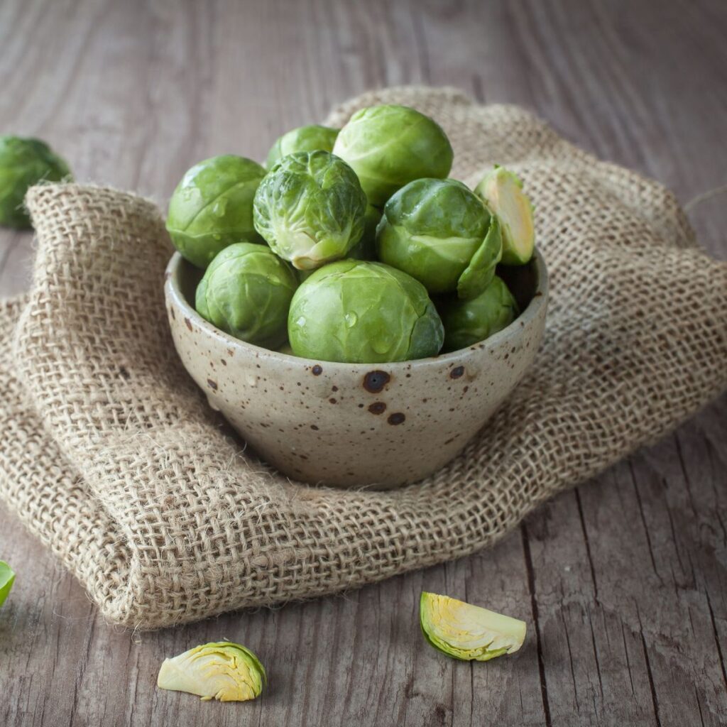 Are Chickens Color Blind? (Nope, Here's Proof) Chicken & Chicks Info