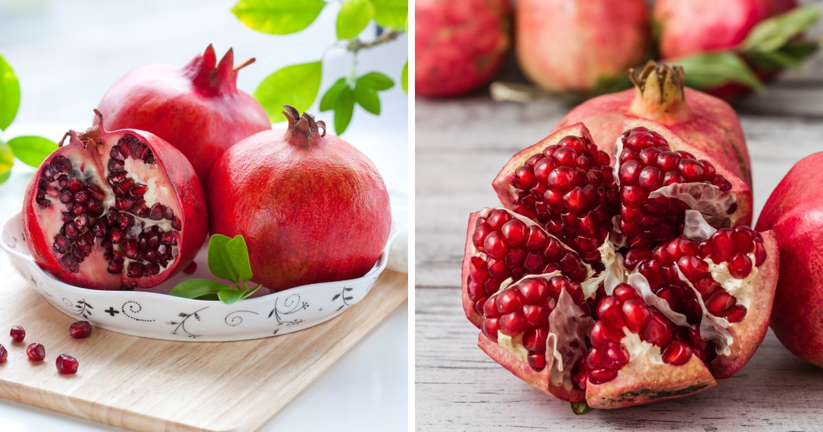 Can Chickens Eat Pomegranate? (Superfood; Super Good) Chicken