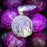 Bunch or fresh organic red cabbages.