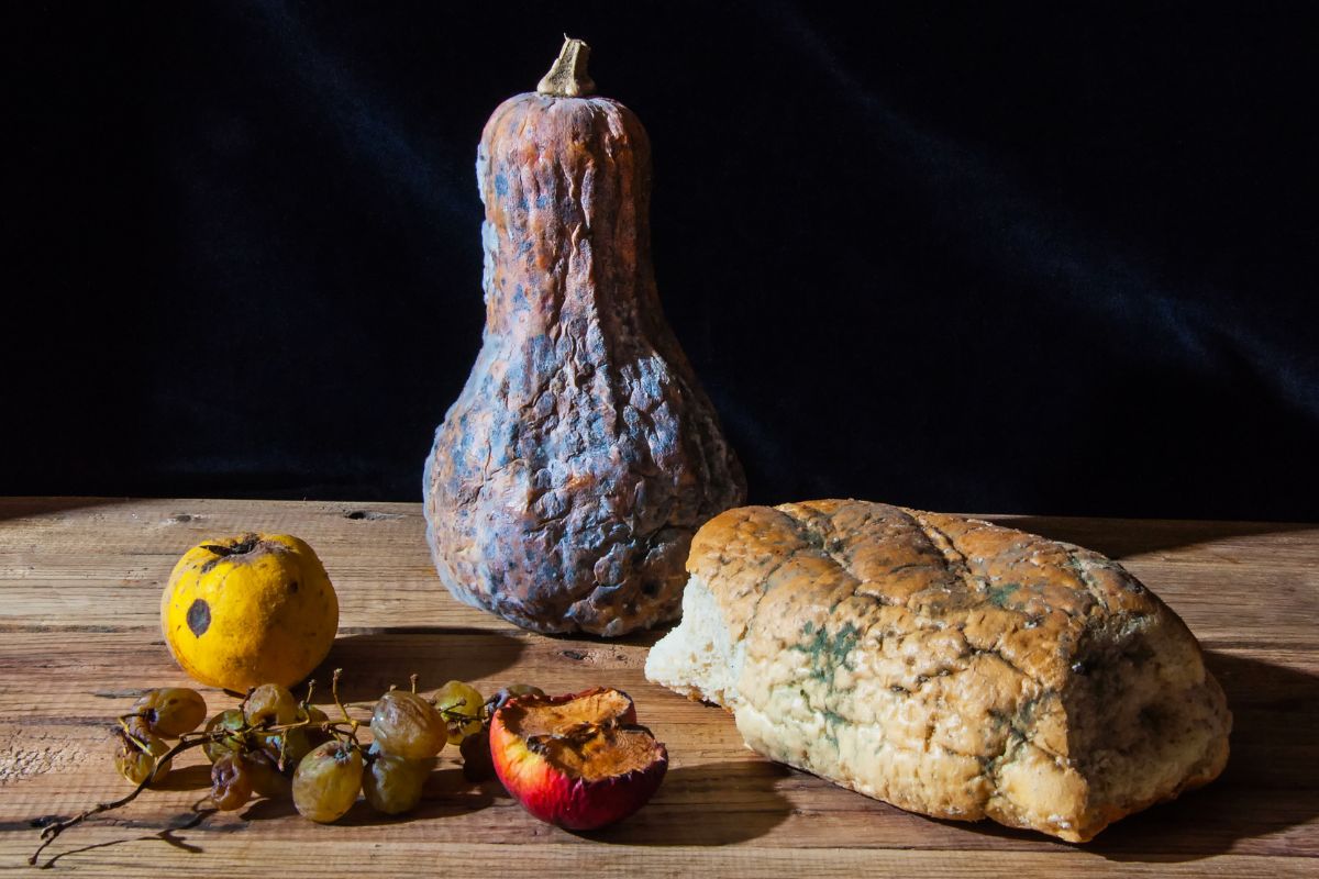 Different varieties of moldy foods on a wooden table.