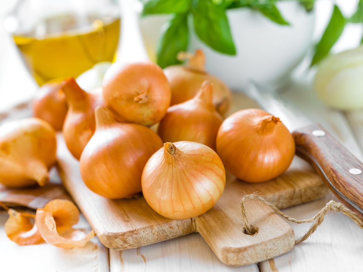 Fresh organic onions on a wooden cutting board with a knife.